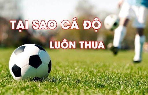 Vì sao cá độ bóng đá luôn thua? Nên làm gì khi thua cá cược?